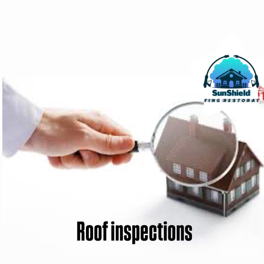 Roof Inspection